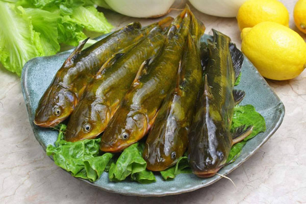 春天的飲食要少酸多甜早春