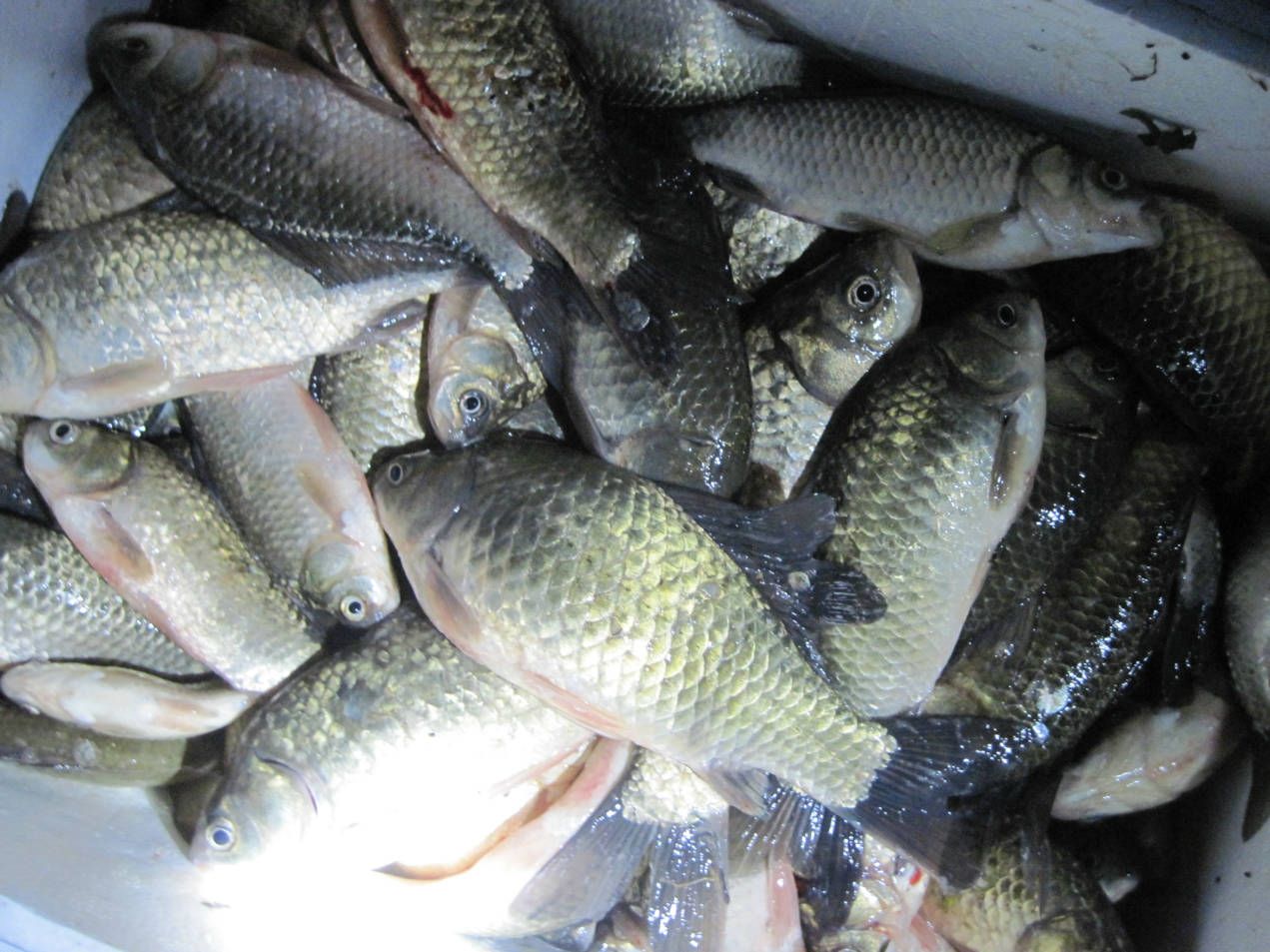 春天皮膚過敏如何保養(yǎng) 春天皮膚過敏怎么辦