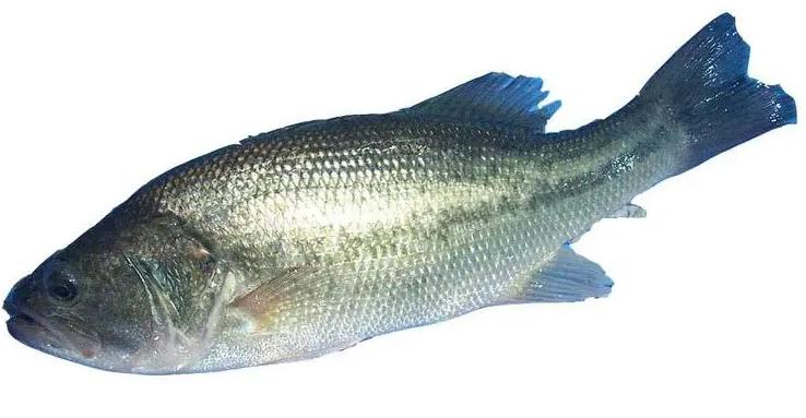 春天皮膚過敏怎么辦 三招教你預防皮膚過敏