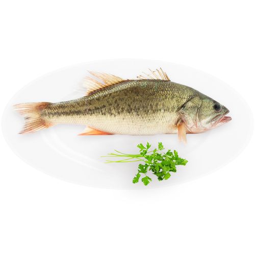 春天皮膚過敏怎么辦緩解春季皮膚過敏的中醫(yī)食療方法