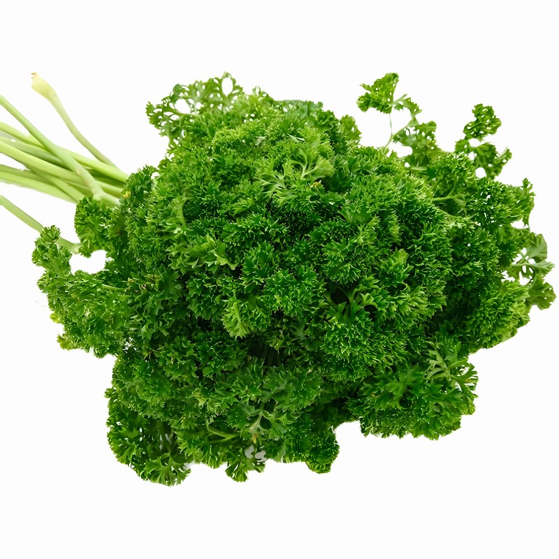 蔬菜配送,東莞蔬菜配送,食堂食材配送