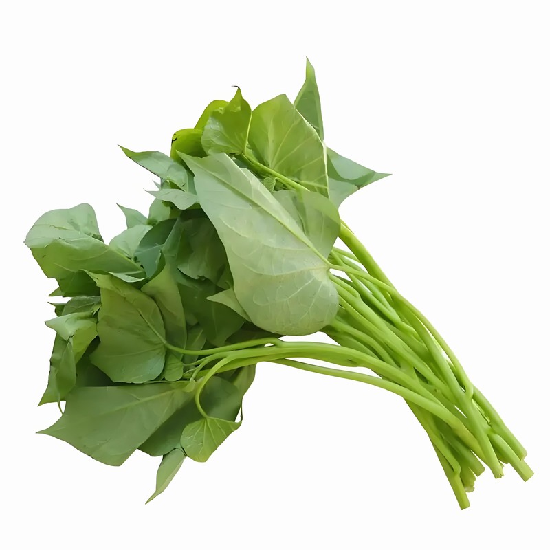 春分時節(jié):減衣不宜過早起居應(yīng)晚睡早起早春