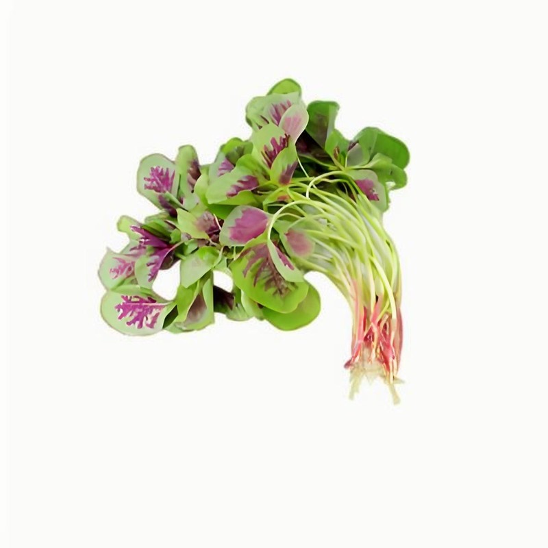 春分的來歷，春分的習(xí)俗有哪些，春分的節(jié)氣特征