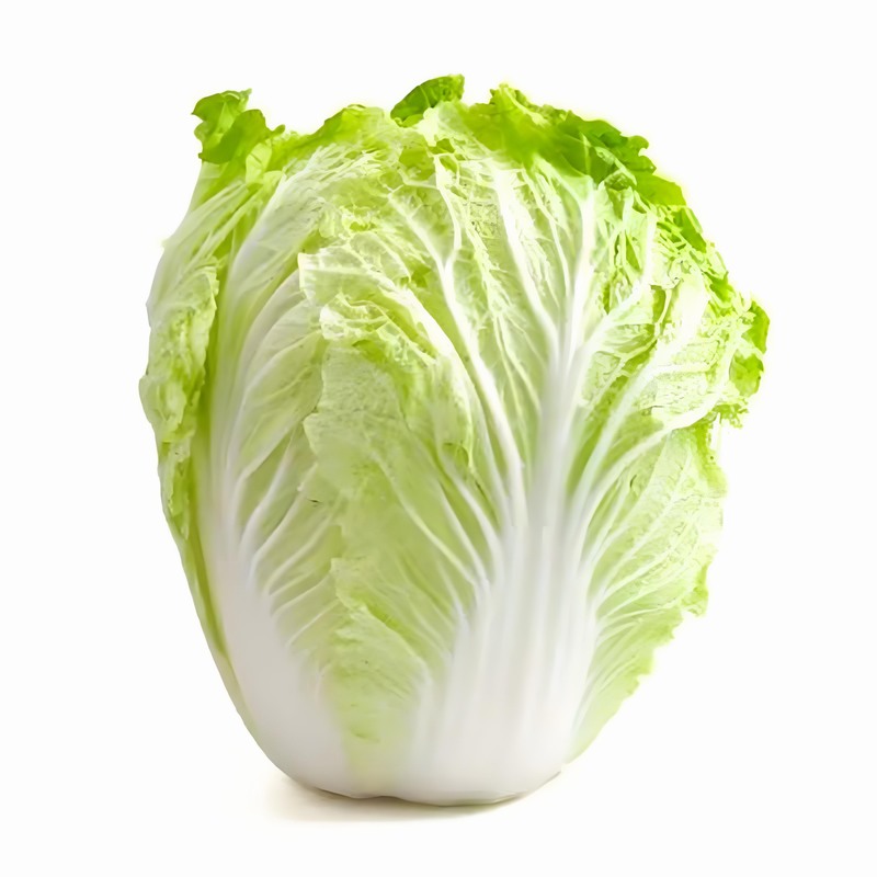 春分時節(jié)巧養(yǎng)生體質(zhì)五行先分清